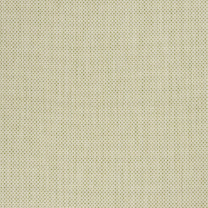 5' X 7' Green and Ivory Indoor Outdoor Area Rug