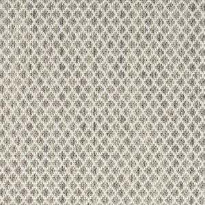 6' X 9' Ivory and Silver Indoor Outdoor Area Rug