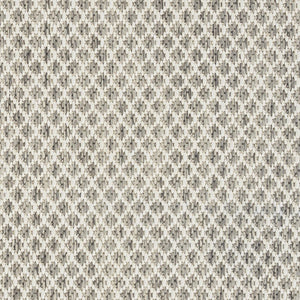 8' X 10' Ivory And Silver Indoor Outdoor Area Rug