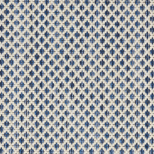 8' X 10' Blue And Ivory Indoor Outdoor Area Rug