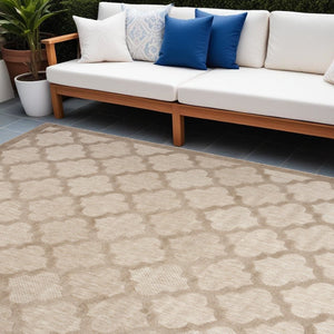 9' X 12' Beige Indoor Outdoor Area Rug
