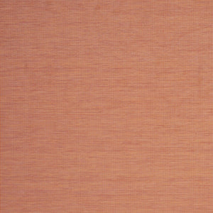 8' X 10' Terra Cotta Indoor Outdoor Area Rug