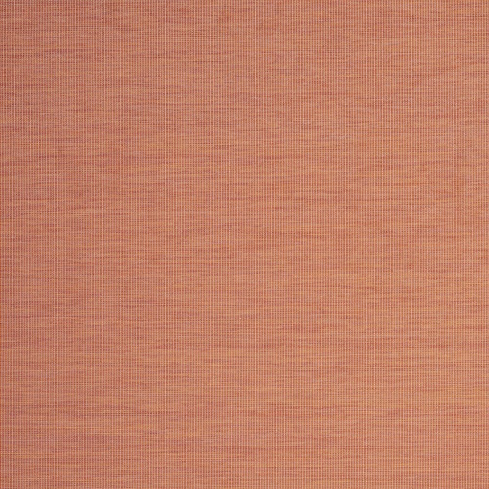 8' X 10' Terra Cotta Indoor Outdoor Area Rug
