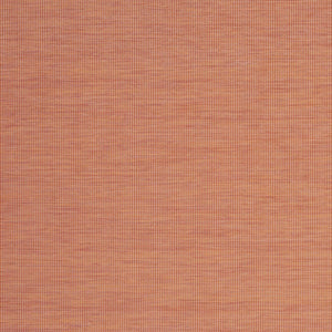 8' X 10' Terra Cotta Indoor Outdoor Area Rug