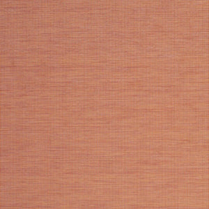 7' X 10' Terracotta Indoor Outdoor Area Rug