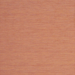 6' X 9' Terracotta Indoor Outdoor Area Rug