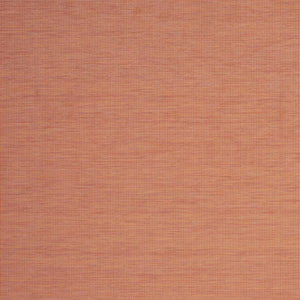 6' X 9' Terracotta Indoor Outdoor Area Rug