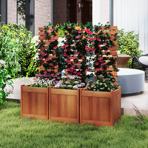 Outdoor Wooden Raised Garden Bed with Trellis