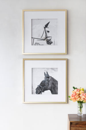 Wall Art Horse Animal Printing, Wall Decor Accent (Set of 2) - Golden / White by Couch.com