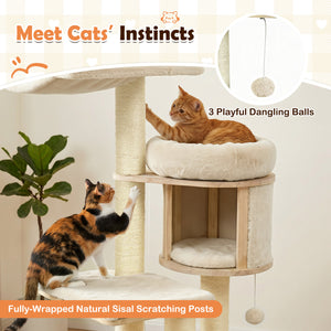 55" Solid Rubber Wood Cat Tree with Condo & Hammock and Scratching Posts for Adult Cats-Beige