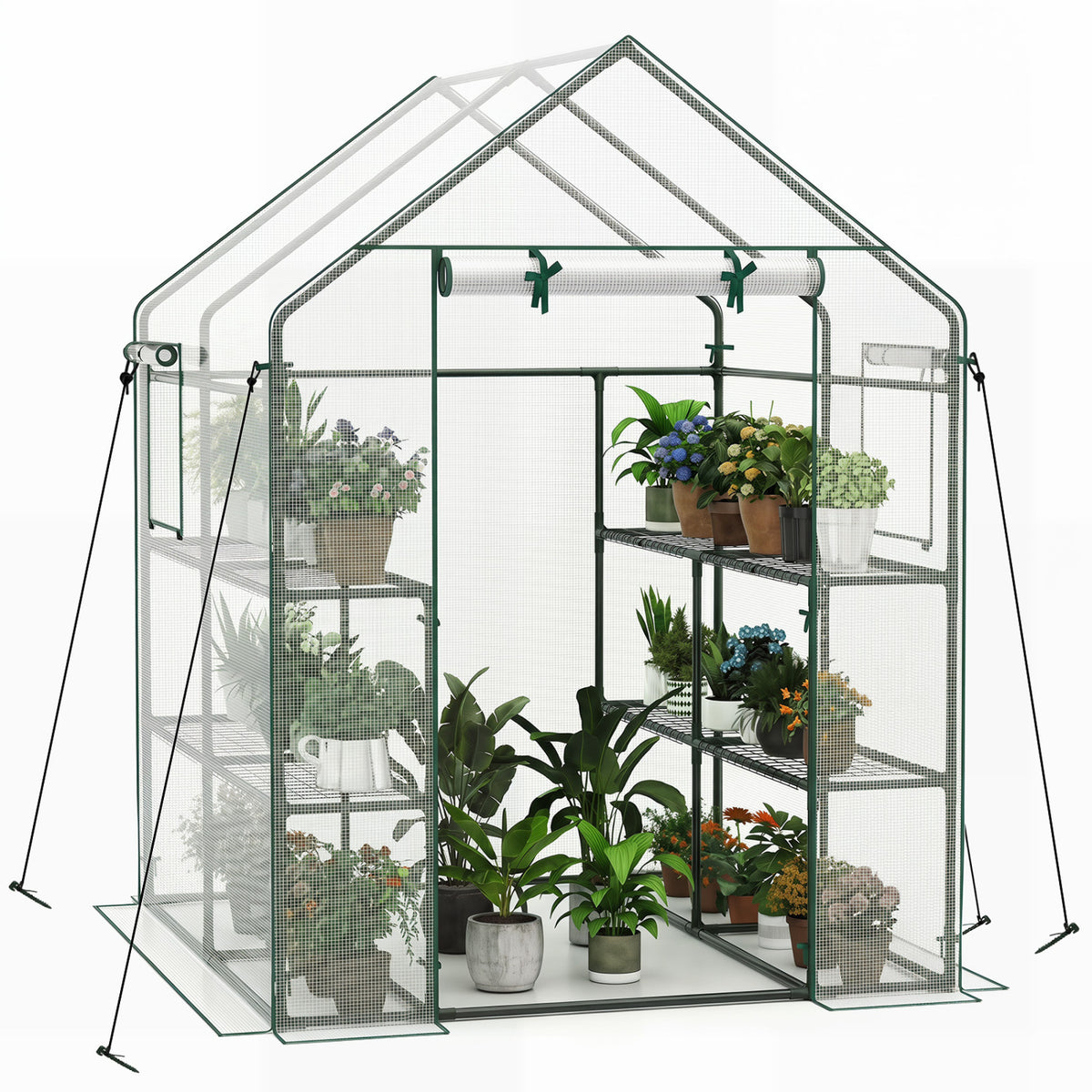 56 x 56 x 77 Inch Walk-in Greenhouse with Observation Windows-White