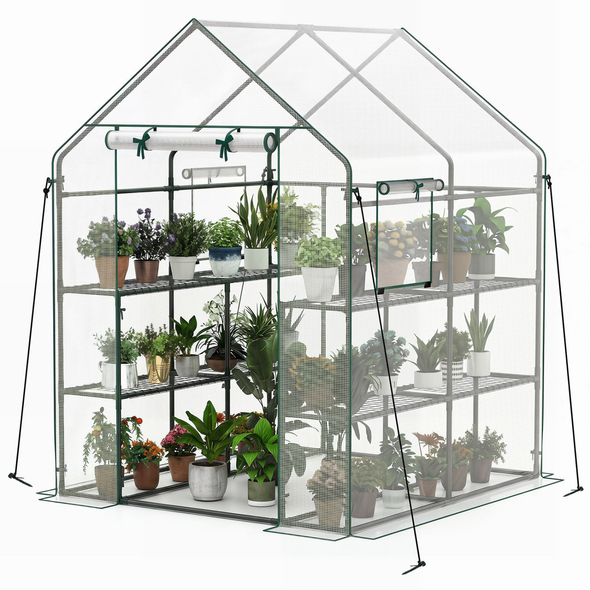 56 x 56 x 77 Inch Walk-in Greenhouse with Observation Windows-White