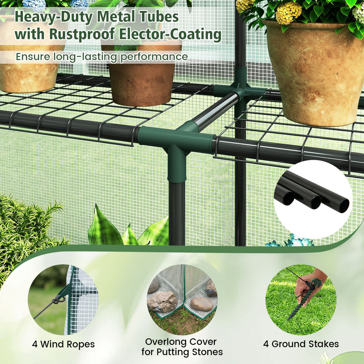 56 x 56 x 77 Inch Walk-in Greenhouse with Observation Windows-White