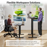 48 Inch x 24 Inch Ergonomic Electric Standing Desk with 3 Memory Settings for Home Office-Black
