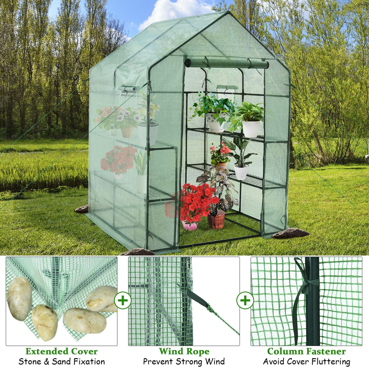 Walk-in Greenhouse 56 x 56 x 77 Inch Gardening with Observation Windows-Green