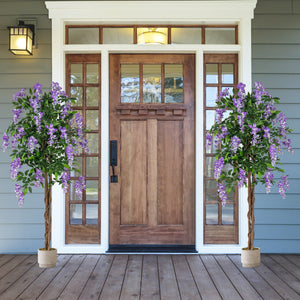 5.5 FT Faux Wisteria Plant in Nursery Pot with Blooming Flowers Set of 2-Purple
