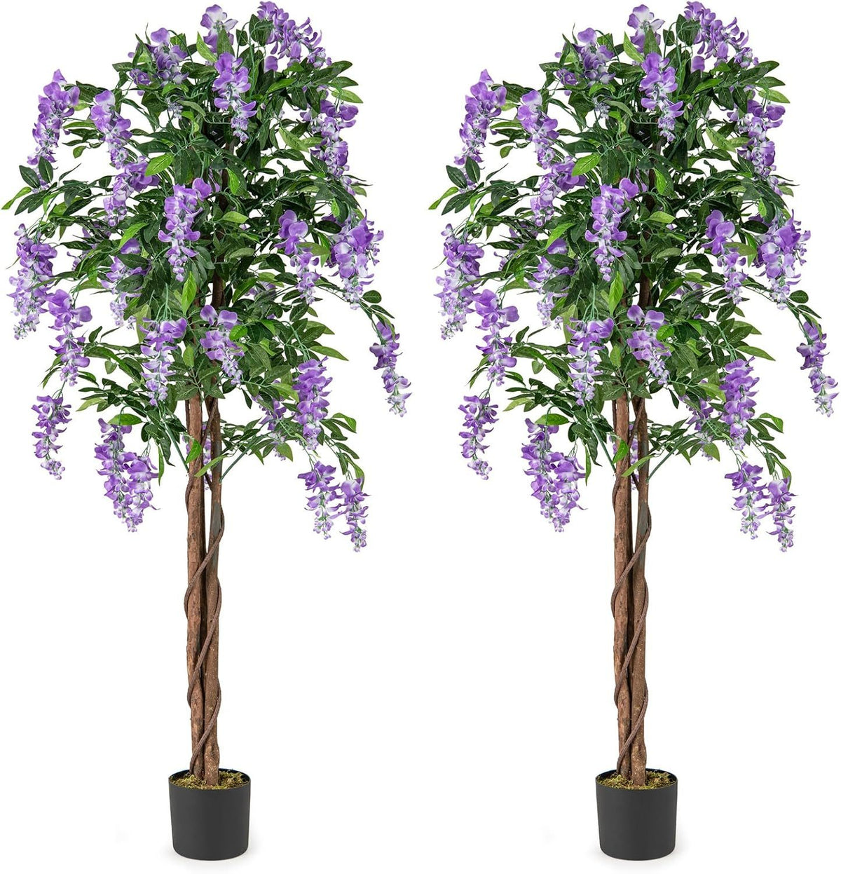 5.5 FT Faux Wisteria Plant in Nursery Pot with Blooming Flowers Set of 2-Purple