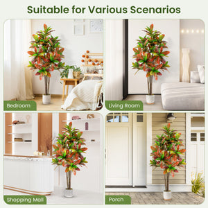 5 FT Tall Artificial Croton Plant with Gradient Leaves and Nursery Pot-1 Pack