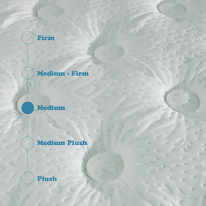 Excellence 9" Medium Tight-Top Hybrid Aloe Vera Foam Encased Pocket Coil Mattress by Couch.com