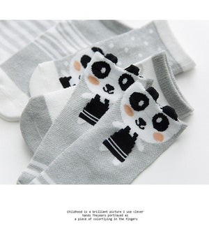 5Pairs 0-2Y Infant Baby Socks Baby Socks for Girls Cotton Mesh Cute Newborn Boy Toddler Socks Baby Clothes Accessories