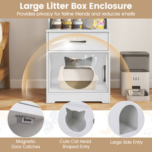 60" Cat Litter Box Enclosure with Adjustable LED Light & Storage Shelves and Charging Station-White