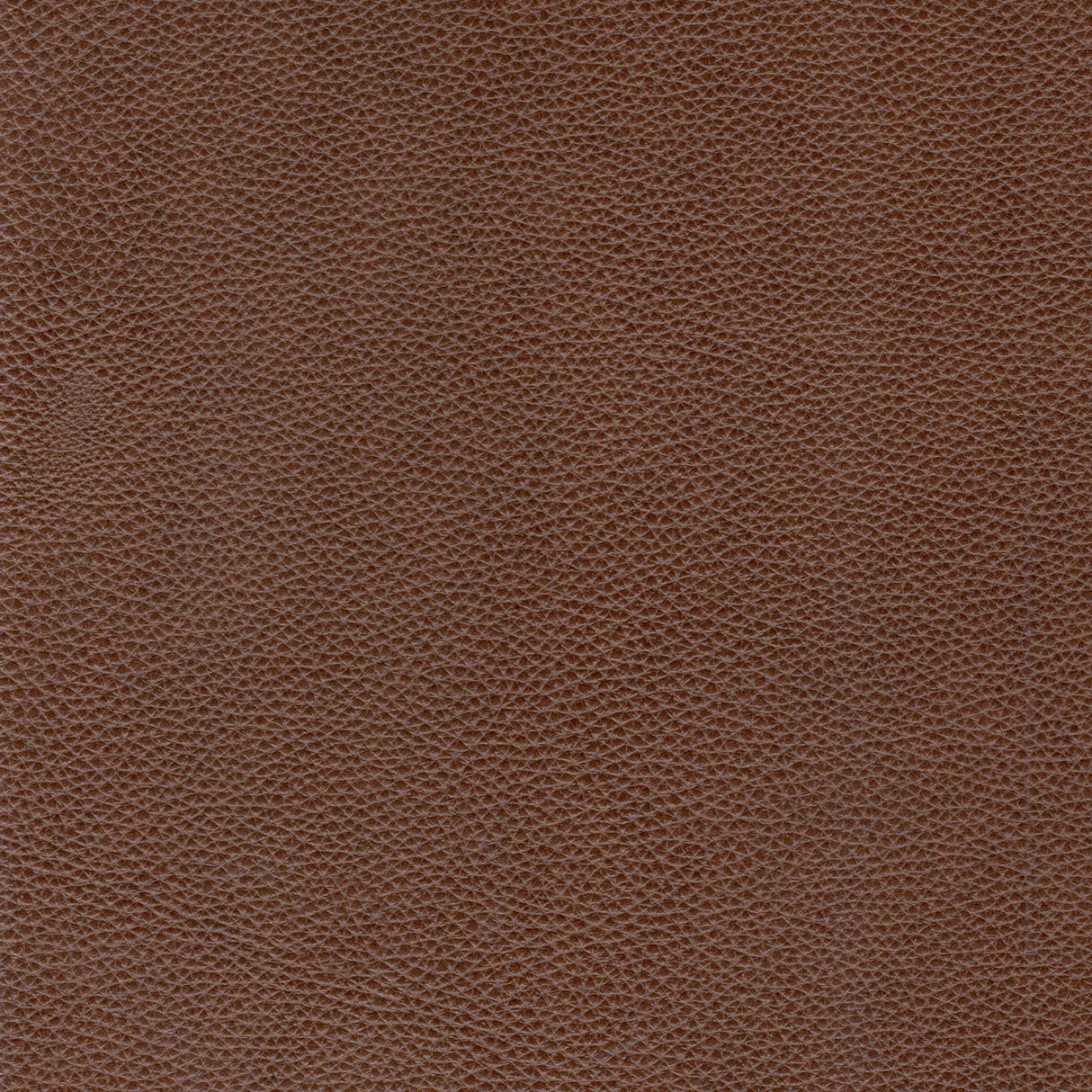 Modern & Contemporary Leather Sofa by Couch.com