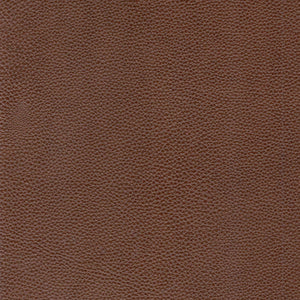 Modern & Contemporary Leather Sofa by Couch.com