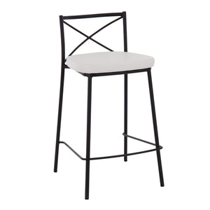 Modern Charlotte - Contemporary Fixed Height Counter Stool (Set of 2) by Couch.com