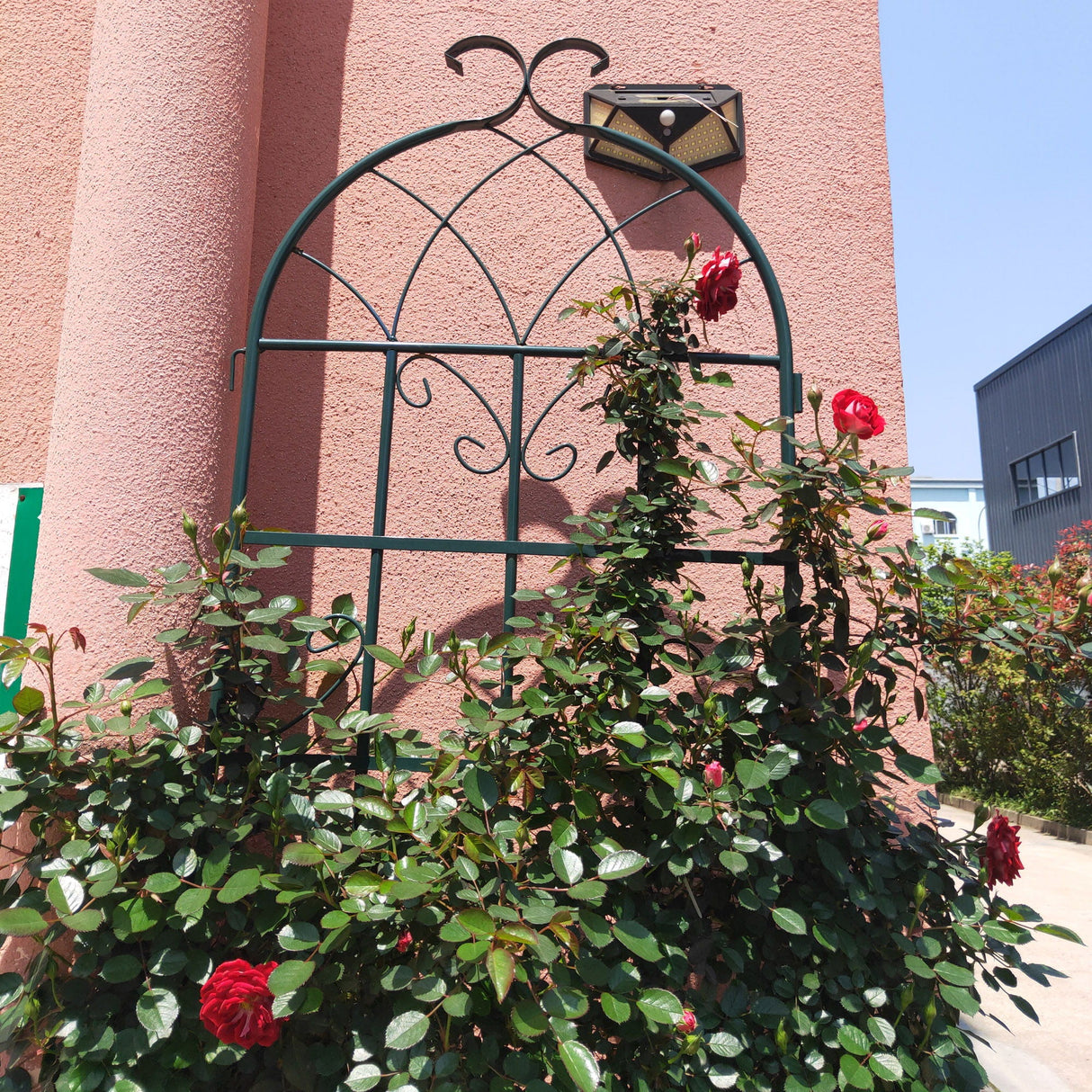 Metal Garden Rustproof Trellis For Climbing Plants Outdoor Flower Support by Couch.com