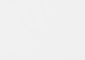 Transitional Swivel Bar Stool Counter Height (Set of 2) by Couch.com