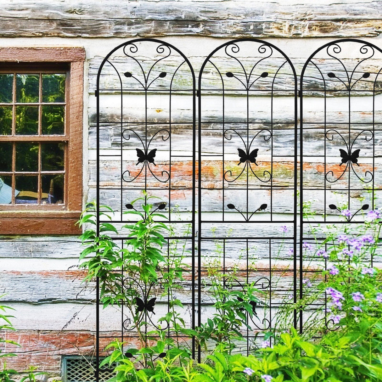 Garden Metal Trellis Rustproof Trellis For Climbing Plants Outdoor Flower Support by Couch.com