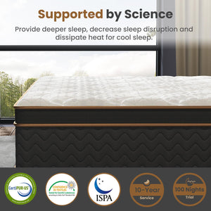Home 10" Flexpedic Luxury Memory Foam & Pocket Spring Mattress