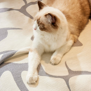 Chenille Floral Soft Thick Reversible Blanket Covers for Couch, Couch Protector Blanket Cover Sofa