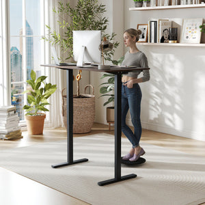 48 Inch x 24 Inch Ergonomic Electric Standing Desk with 3 Memory Settings for Home Office-Rustic Brown