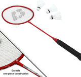 Champions Volleyball & Badminton Set