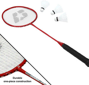 Champions Volleyball & Badminton Set