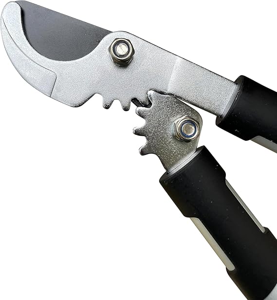 Power Bypass Loppers by Garden Guru