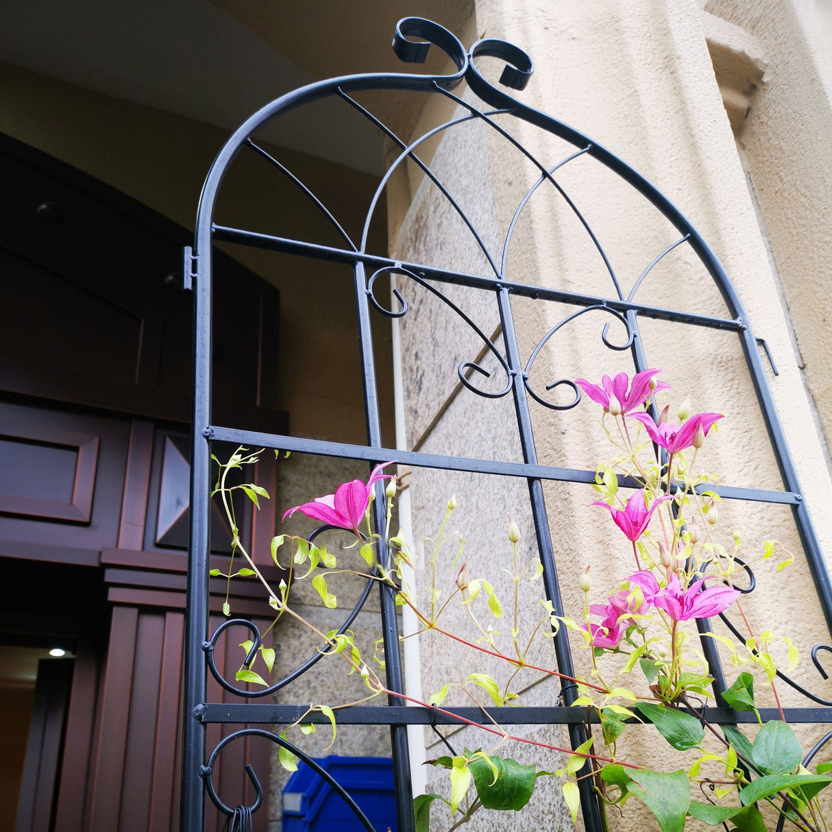 Metal Garden Rustproof Trellis For Climbing Plants Outdoor Flower Support by Couch.com