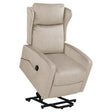 The Power Lift Recliner Chair in light gray features a plush backrest, curved armrests, adjustable lift mechanism, and remote control. It includes a raised base for easy lift and a side pocket for convenience.