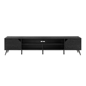 Contemporary 2 Door Minimalist TV Stand by Couch.com