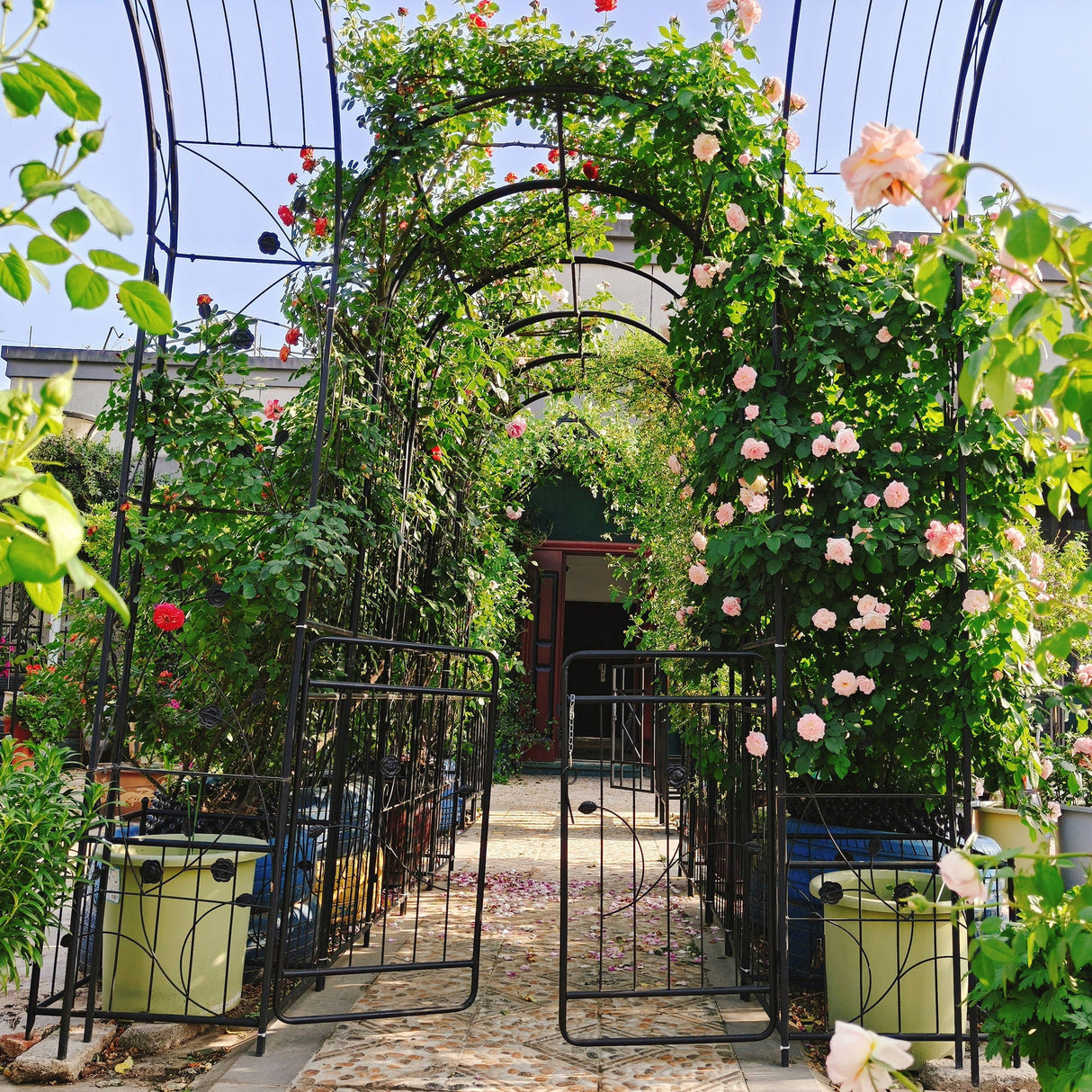Metal Garden Arch With Gate Wide High Climbing Plants Support Rose Arch Outdoor - Black by Couch.com