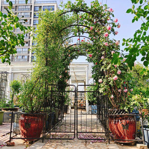 Metal Garden Arch With Gate High Climbing Plants Support Rose Arch Outdoor - Black by Couch.com