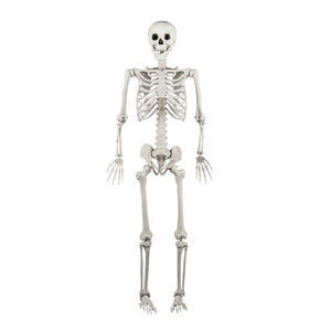 5.4 FT Halloween Skeleton Decoration Life Size Large Skeleton