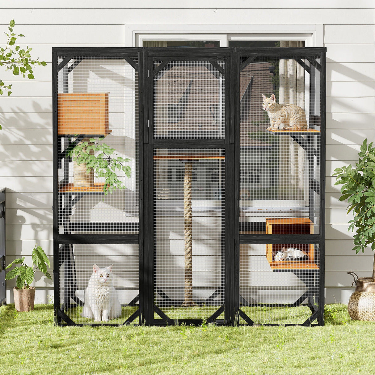 Outdoor Cat House, Diy Cat Enclosure Catio With Double Enter Doors by Couch.com