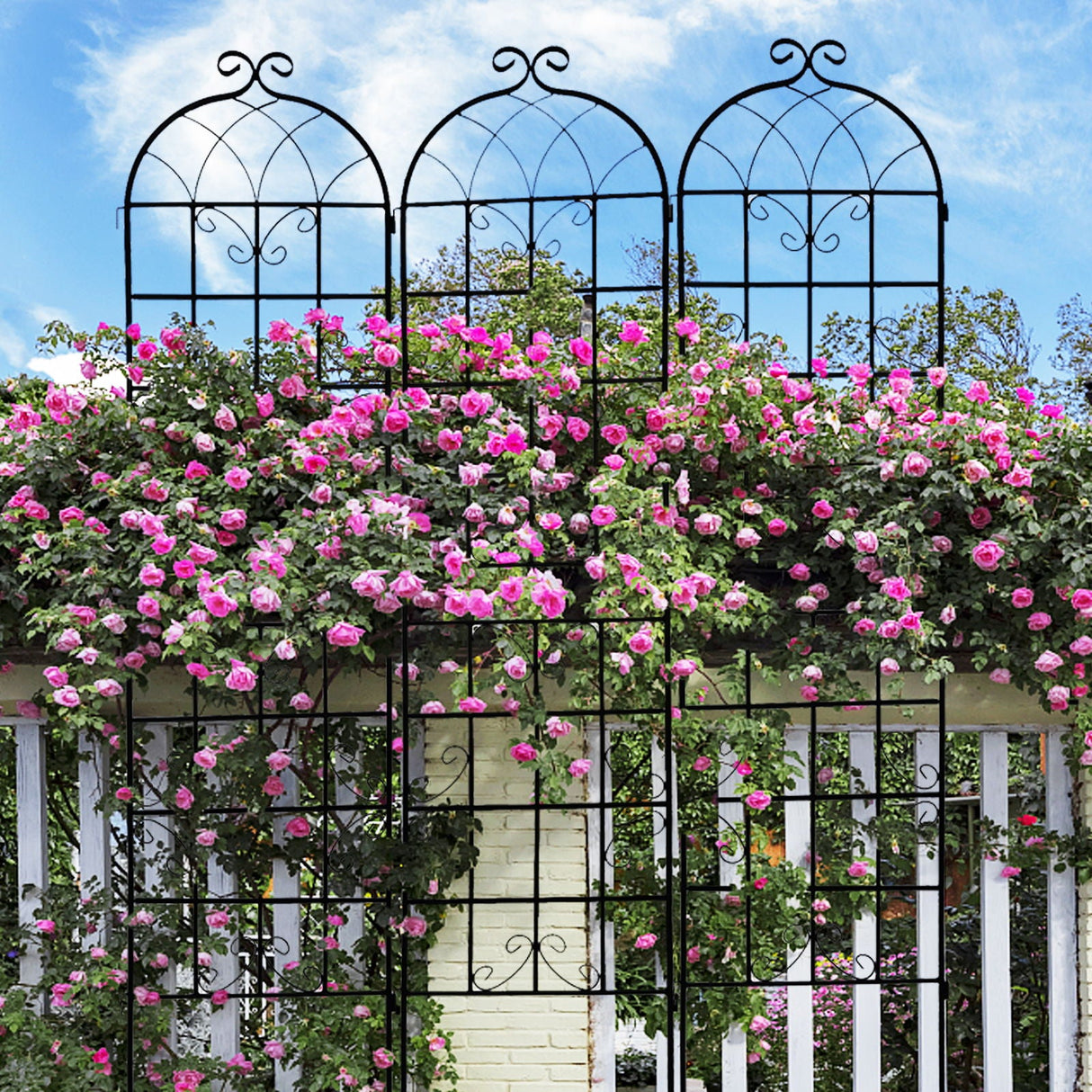 Metal Garden Rustproof Trellis For Climbing Plants Outdoor Flower Support by Couch.com