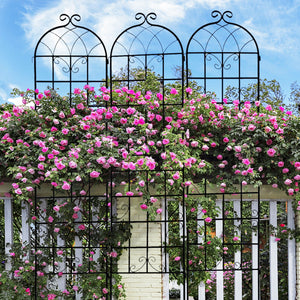 Metal Garden Rustproof Trellis For Climbing Plants Outdoor Flower Support by Couch.com