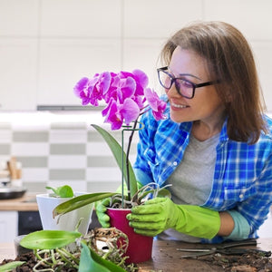 10-Pack 16in Plant Support Stakes with Rings by DirectDeals