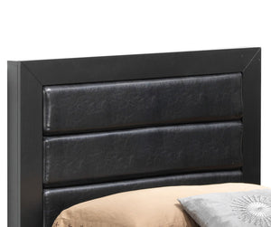 Transitional Modern Design Bed by Couch.com
