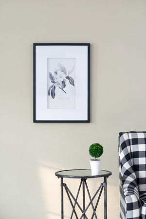 Verdura Botanica: Four-Print Houseplant Pencil Art Set