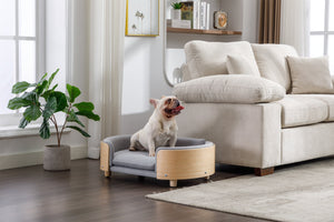Scandinavian Style Elevated Dog Bed Pet Sofa Velvet Cushion Mid Size Light Grey
